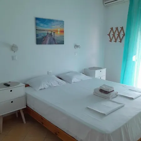 Haus Dusseldorf * ポトス