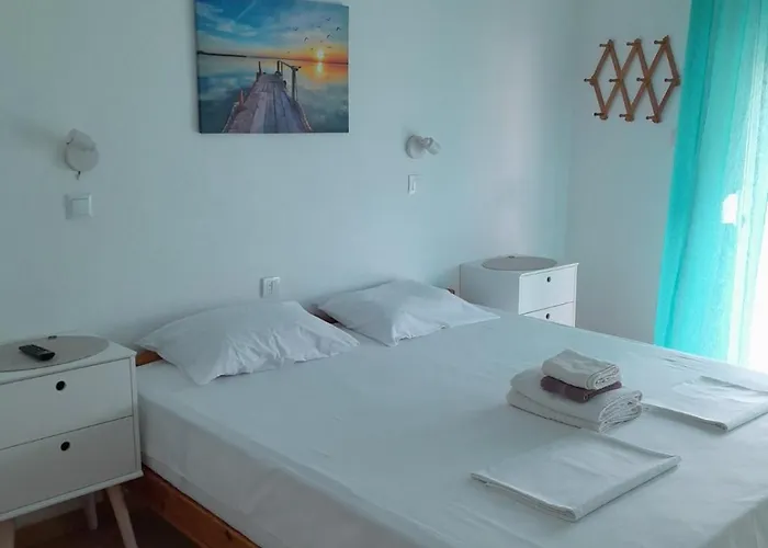 Haus Dusseldorf * ポトス